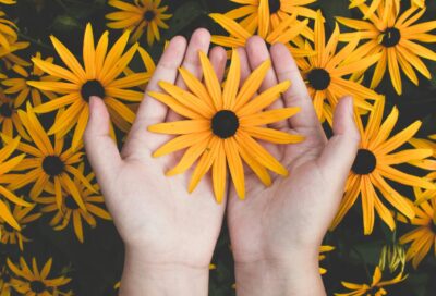 Close-up of hands holding vibrant yellow daisies, showcasing natural beauty and floral pattern.