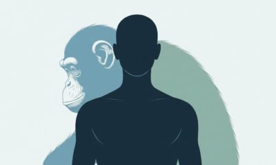 Man in Control of His Emotions: The Chimpanzee Paradox