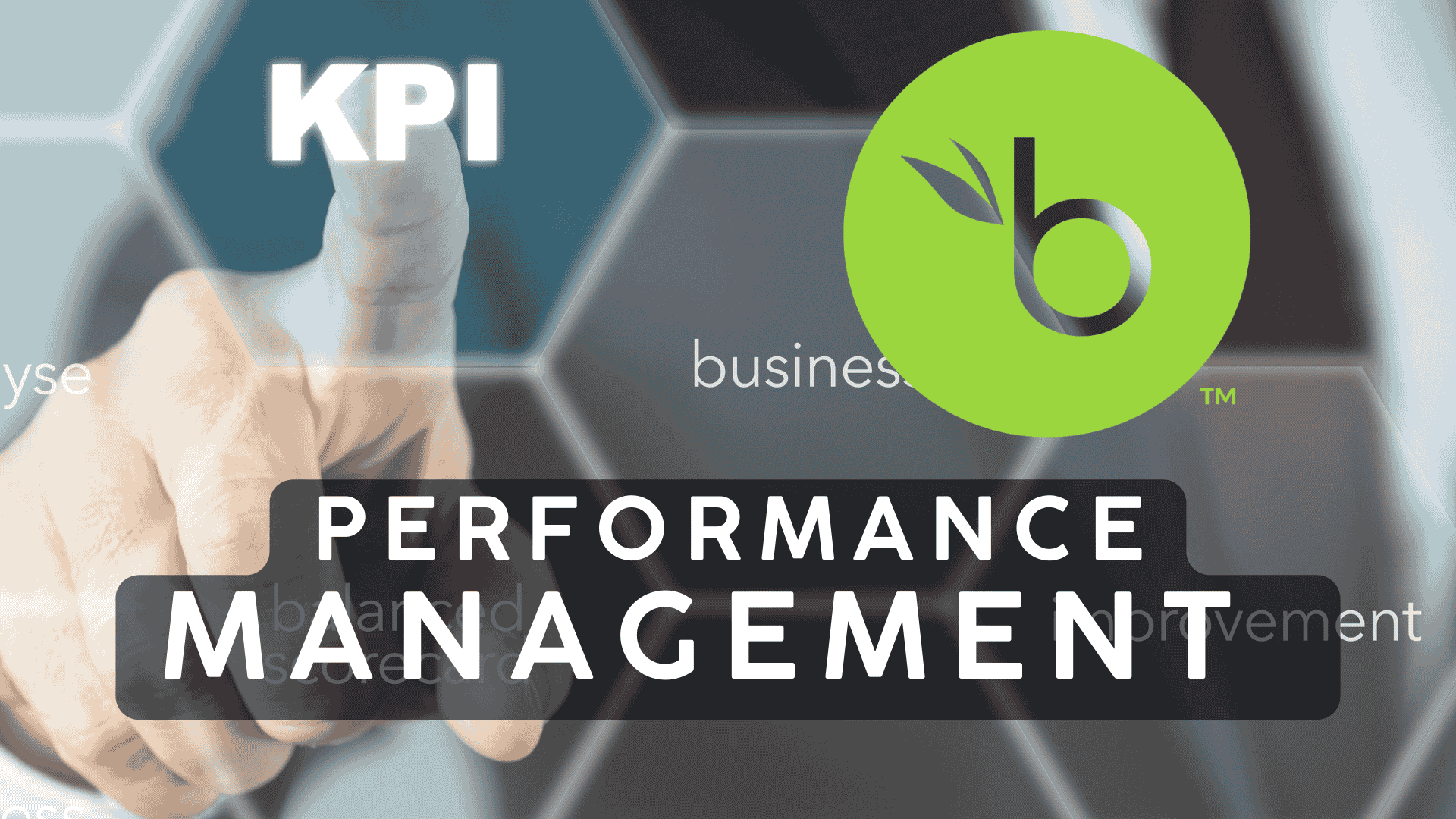 BambooHR Performance Management: How to Elevate Your Team?